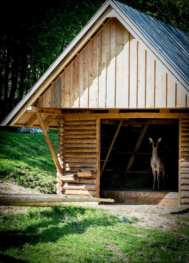 Apartamenty Romanowka Raszow Kültér fotó
